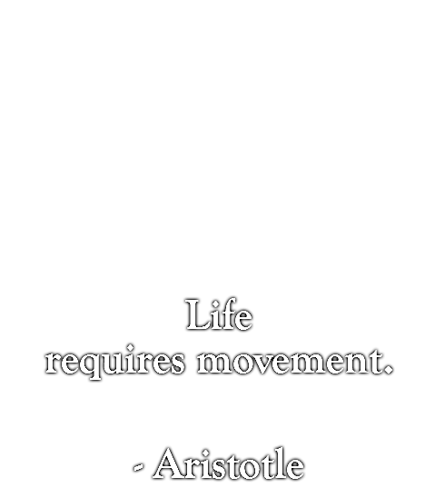       Life requires movement.  - Aristotle